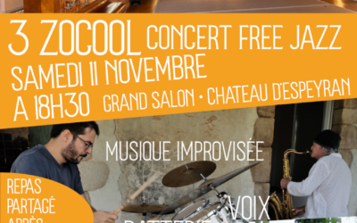 Concert FREE JAZZ • 3 ZOCOOL • Grand salon Château d’Espeyran