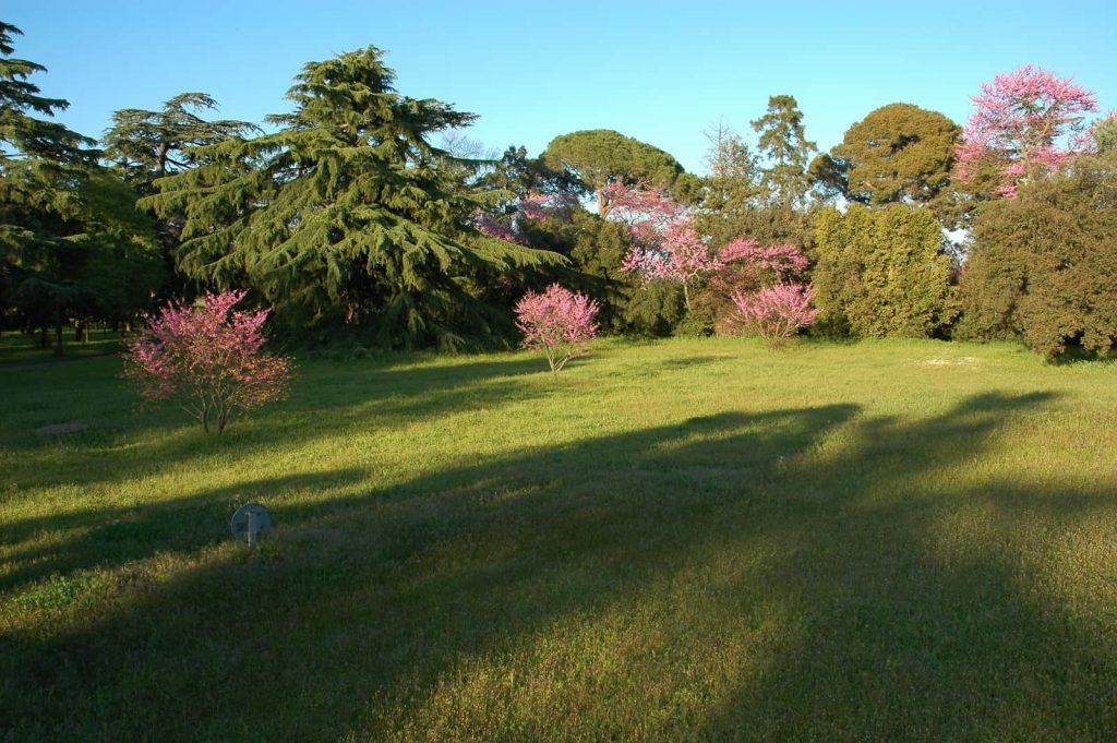 château d'Espeyran saint gilles